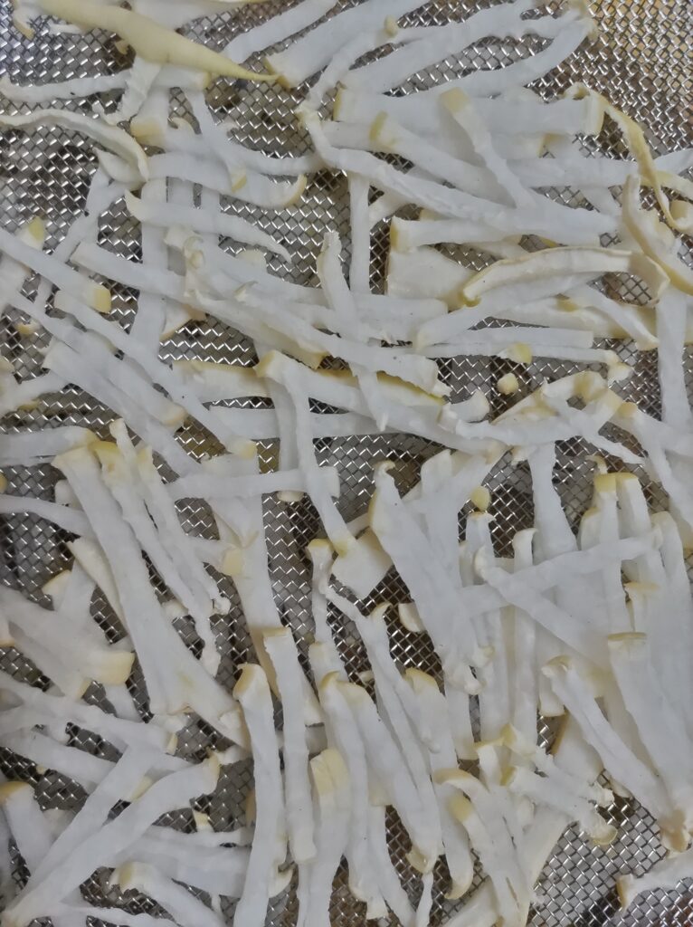 干して1日目の切り干し大根