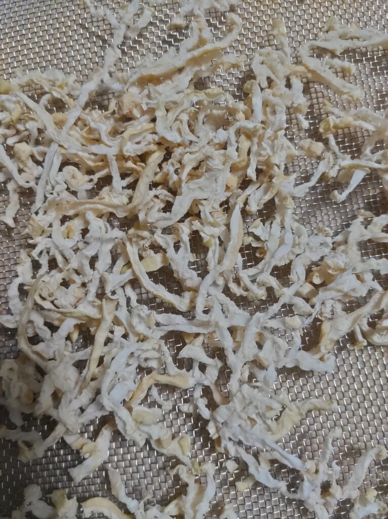 干して2日目の切り干し大根