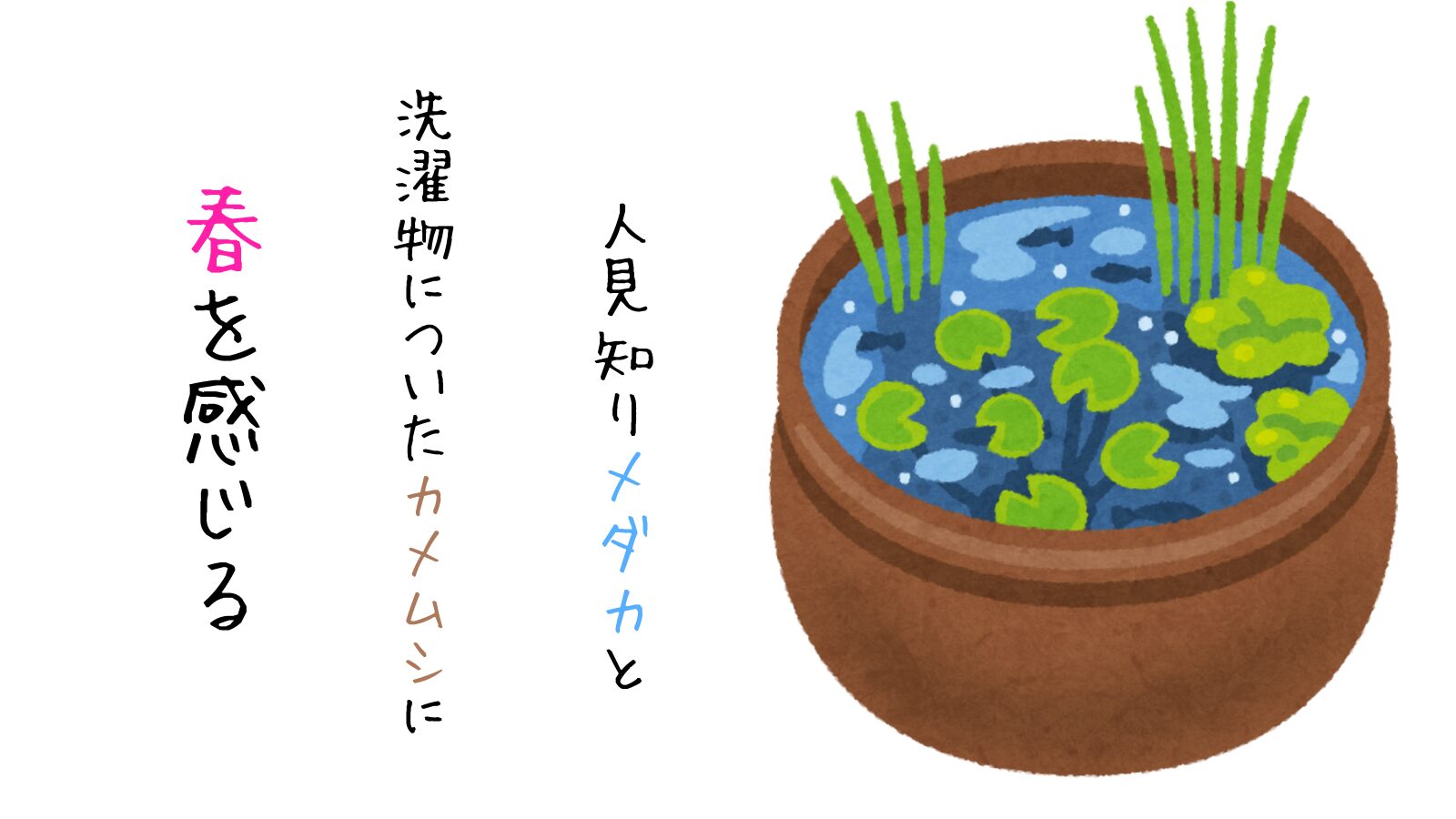 人見知りメダカと洗濯物についたカメムシに、春を感じる