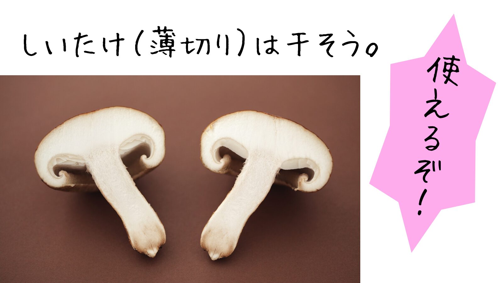 しいたけ（薄切り）は干そう。使えるぞ！