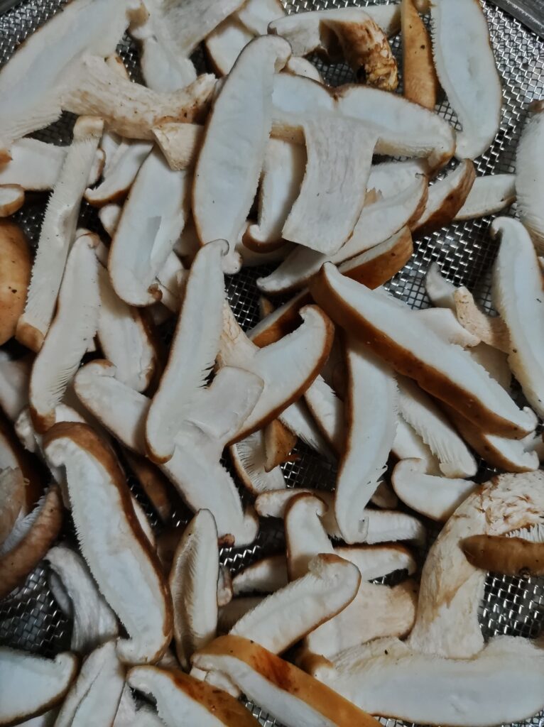 干す前のしいたけ