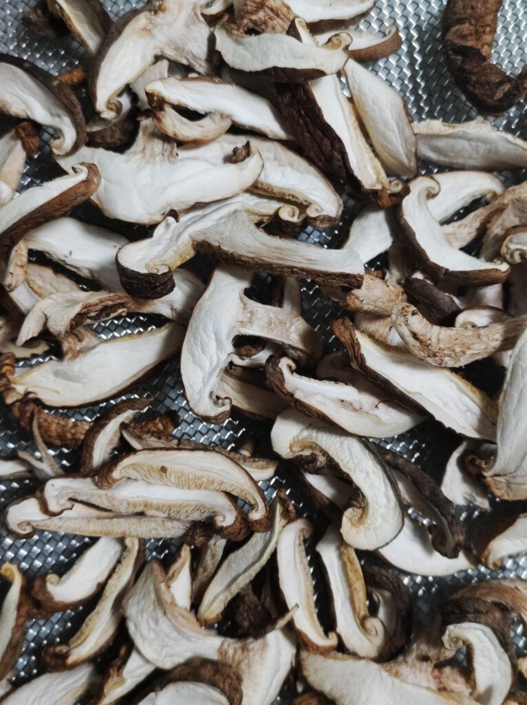 干して3日目のしいたけ