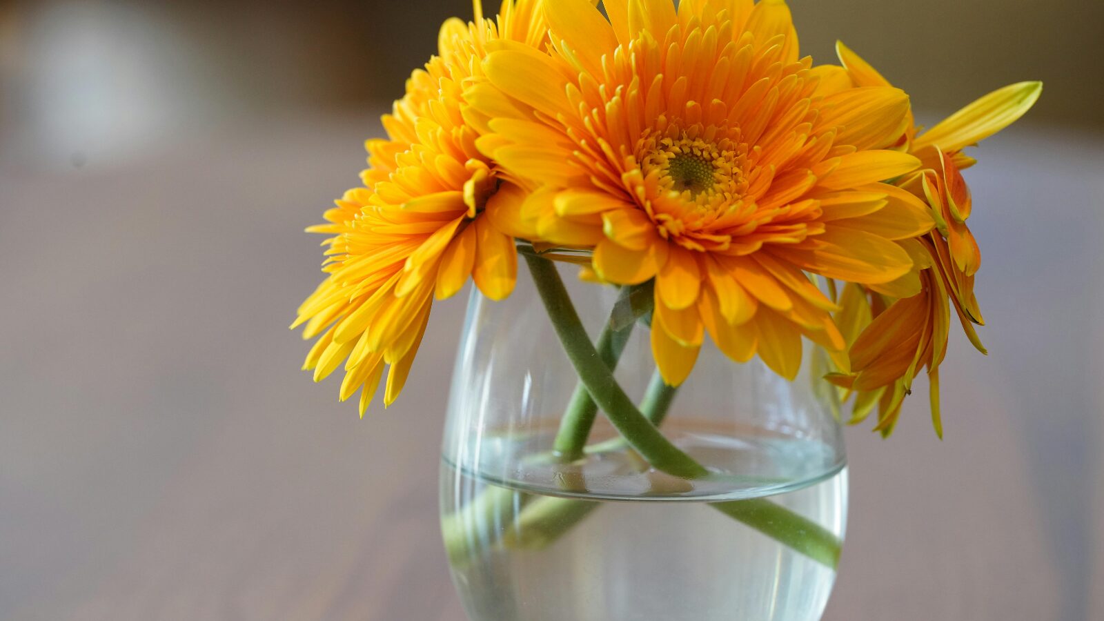 お花のある暮らし