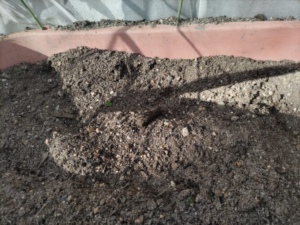 洗濯用ネットのチャックを開けて見た