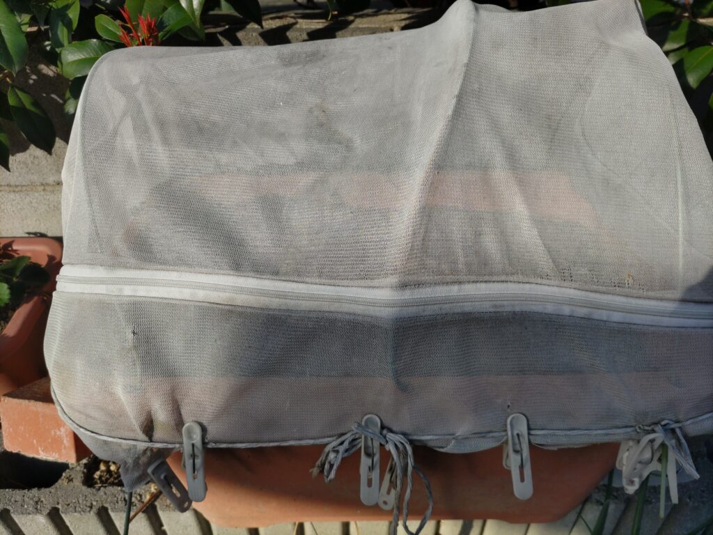 洗濯用ネットをプランターにかぶせて使う